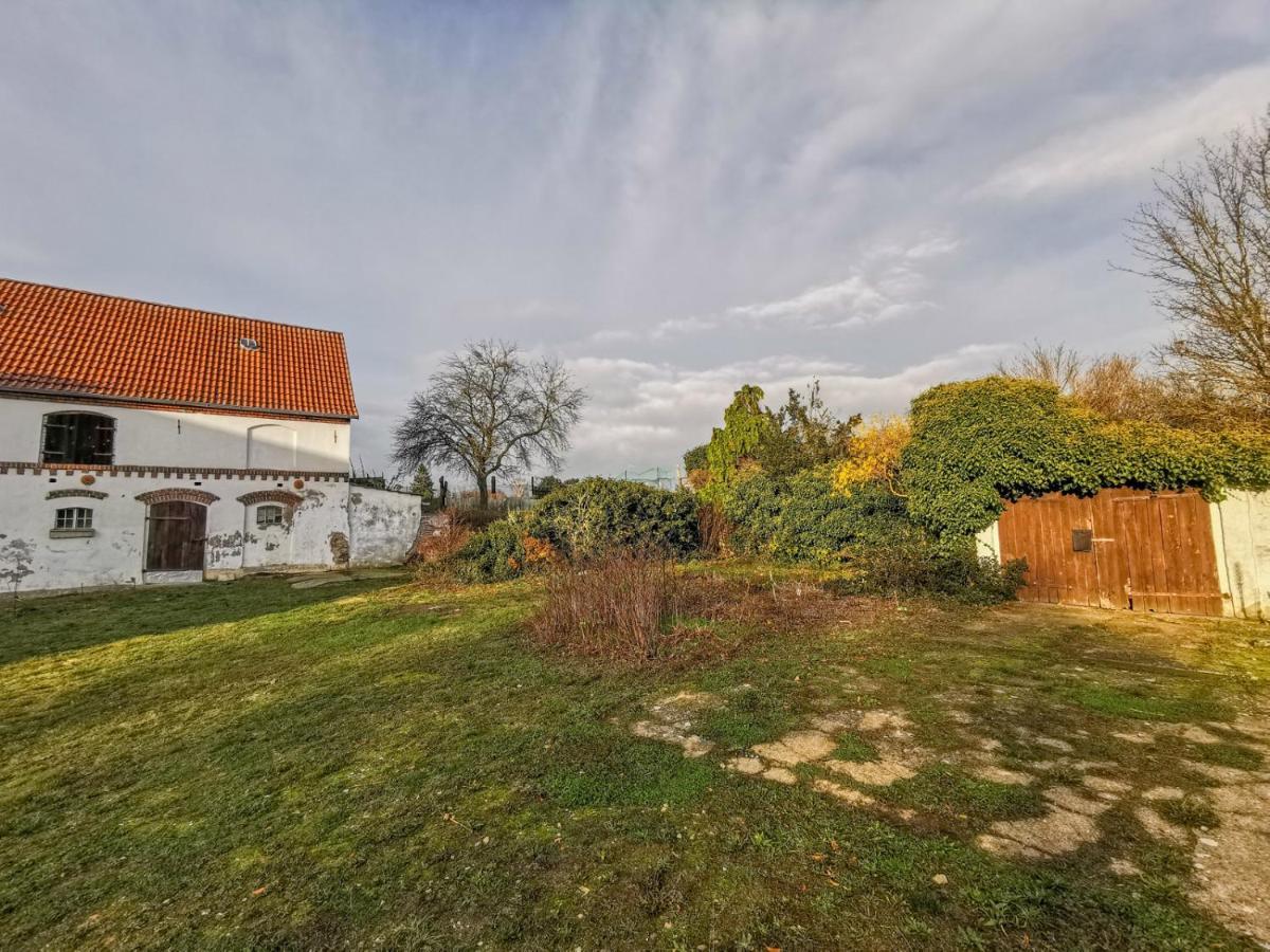 Apartment In Herrenhaus Gross Pinnow Dış mekan fotoğraf