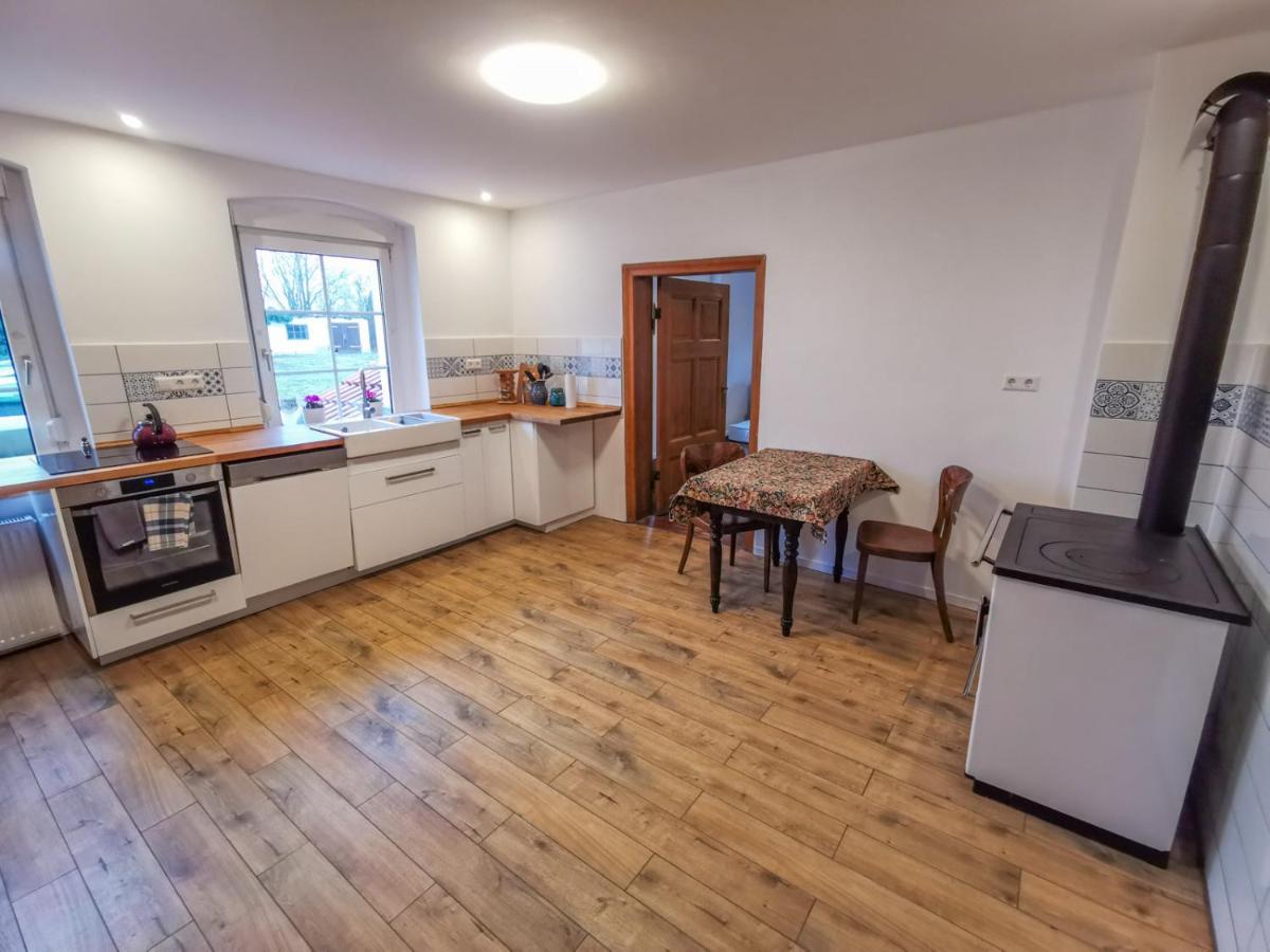 Apartment In Herrenhaus Gross Pinnow Dış mekan fotoğraf