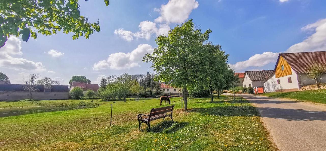 Apartment In Herrenhaus Gross Pinnow Dış mekan fotoğraf