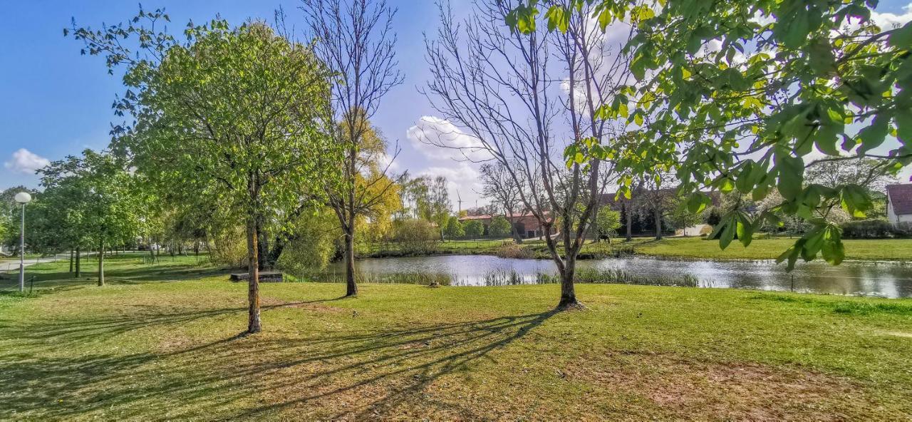 Apartment In Herrenhaus Gross Pinnow Dış mekan fotoğraf